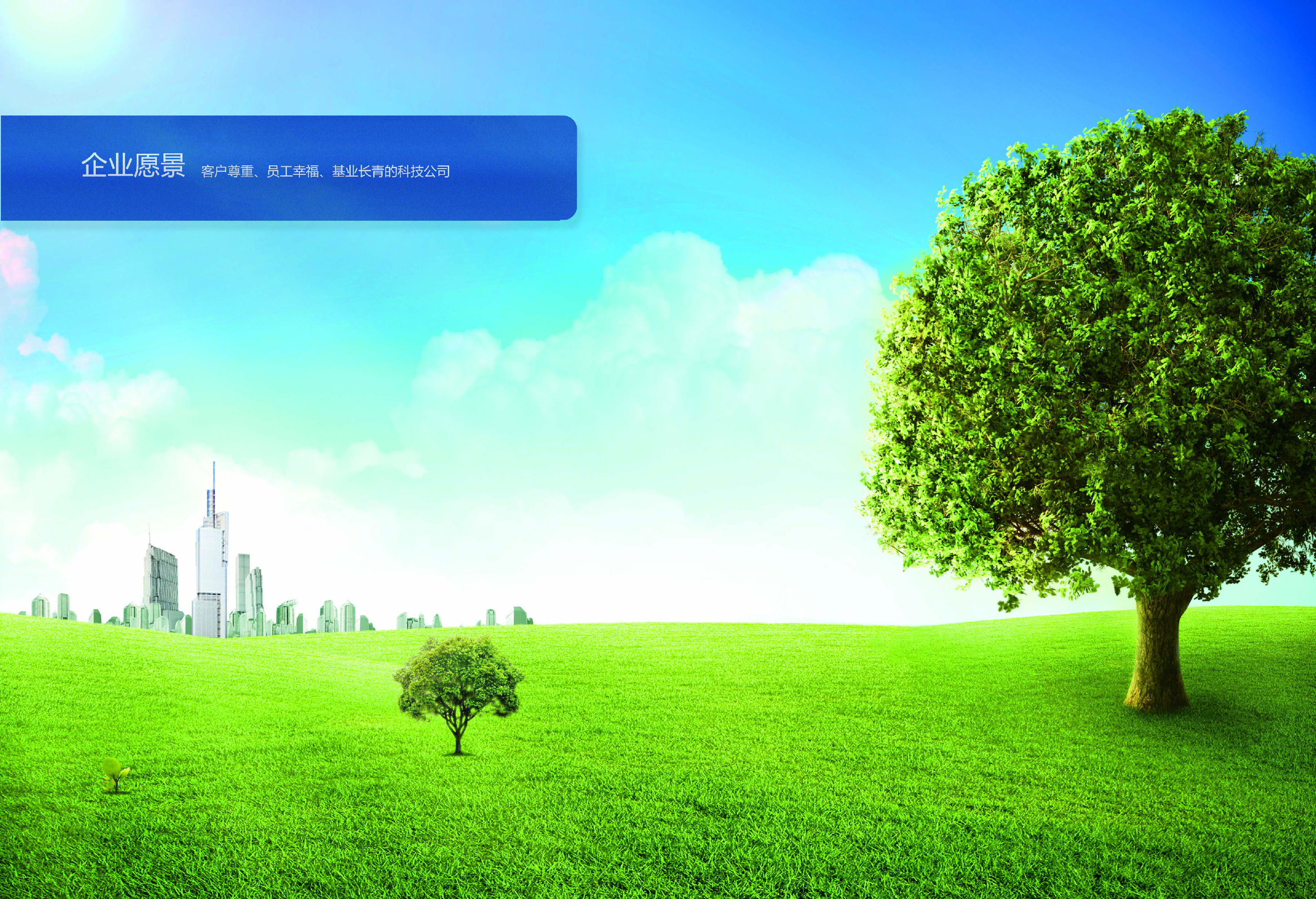 企业愿景.jpg
